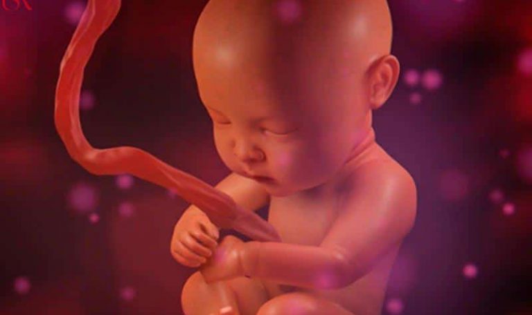 كيف أعرف أن جنيني بخير في الشهر الثالث