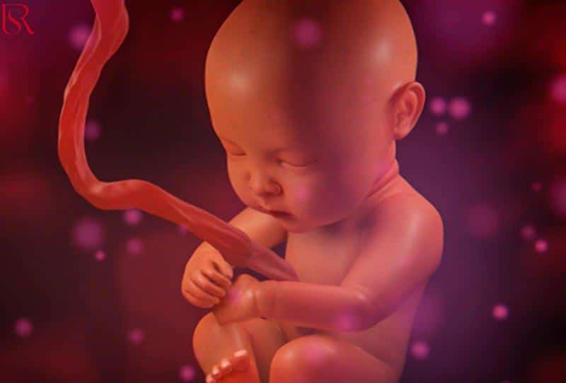 رويال سيرفيس-افضل شركة عمالة منزلية بالقاهرة-مكتب خدم وشغالات كيف أعرف أن جنيني بخير في الشهر الثالث