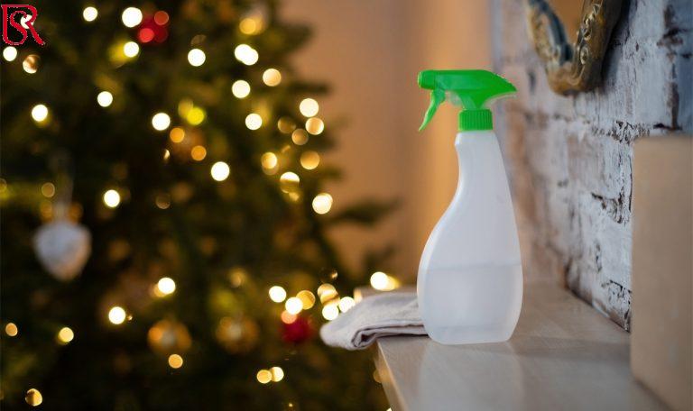  خادمات لتنظيف المنازل