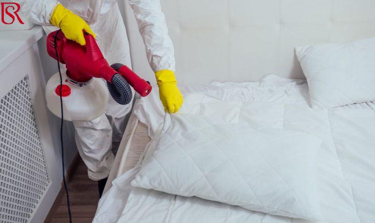 ابادة حشرة البق