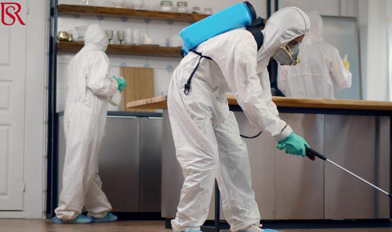 حد جرب شركات ابادة الحشرات