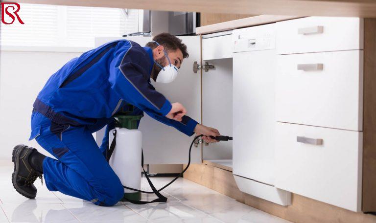 شركة رش حشرات