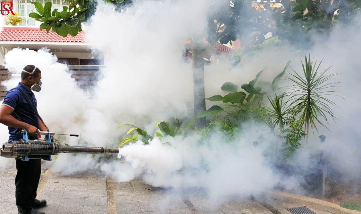 رويال سيرفيس-افضل شركة عمالة منزلية بالقاهرة-مكتب خدم وشغالات أفضل شركه ابادة الحشرات