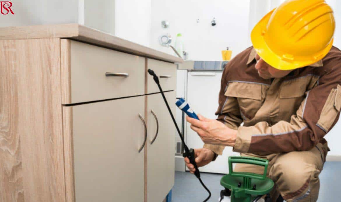 رويال سيرفيس-افضل شركة عمالة منزلية بالقاهرة-مكتب خدم وشغالات اكبر شركات ابادة الحشرات في مصر