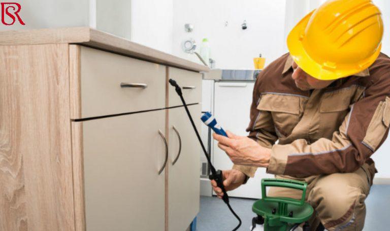 اكبر شركات ابادة الحشرات في مصر