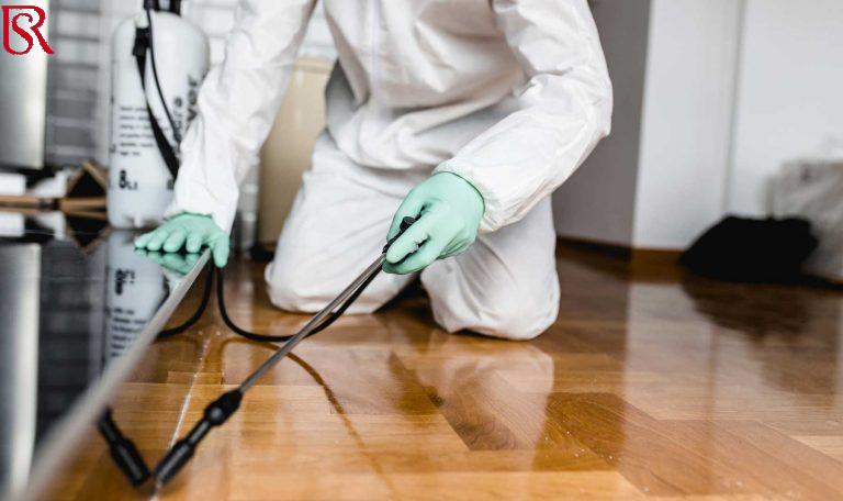 اباده الحشرات المنزلية