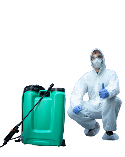 رويال سيرفيس-افضل شركة عمالة منزلية بالقاهرة-مكتب خدم وشغالات رويال سيرفيس-افضل شركة عمالة منزلية بالقاهرة-مكتب خدم وشغالات