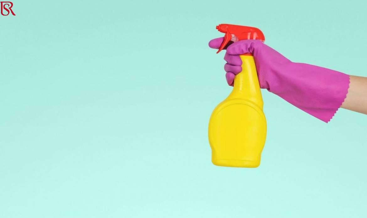 رويال سيرفيس-افضل شركة عمالة منزلية بالقاهرة-مكتب خدم وشغالات شركة شغالات