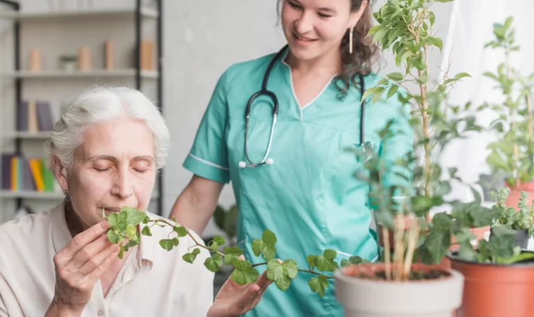 أفضل خدمات رعاية المسنين