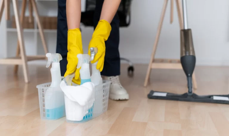 خادمة منزلية